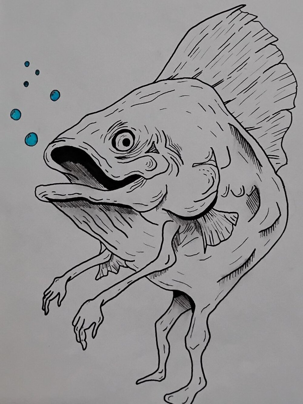 Mr. Fish